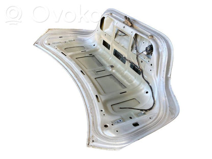 Aizmugurējais pārsegs (bagāžnieks)