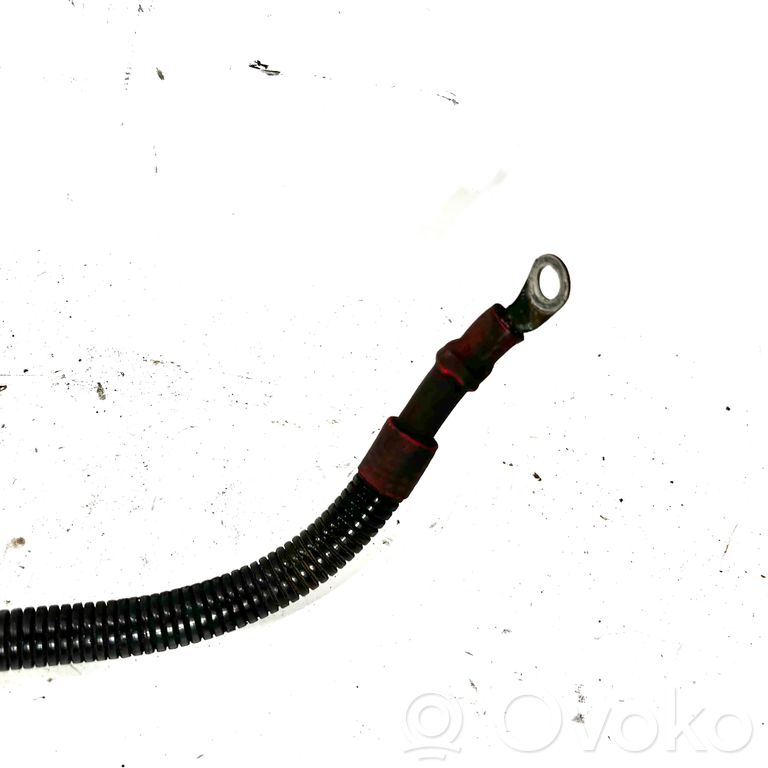 Wires (starter)