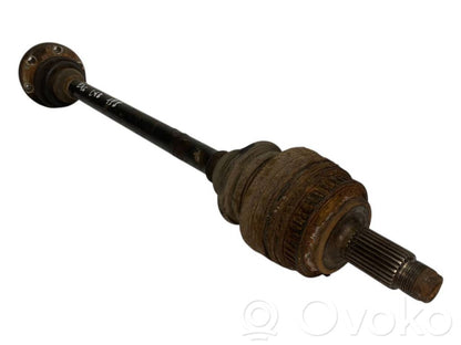 Aizmugurējā pusass