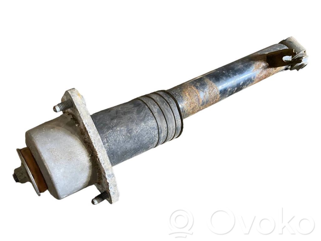 Aizmugurē amortizators