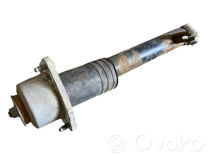 Aizmugurē amortizators