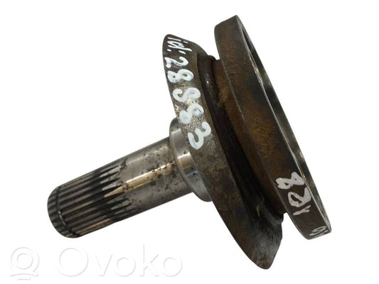 Aizmugurējā pusass