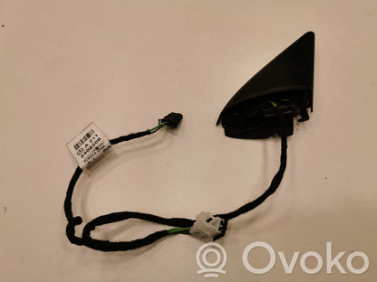 Speaker(s) in front door