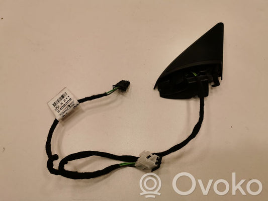 Skaļrunis (-i) priekšējās durvīs