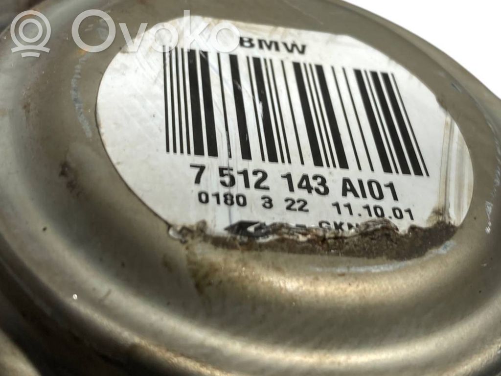 Aizmugurējā pusass