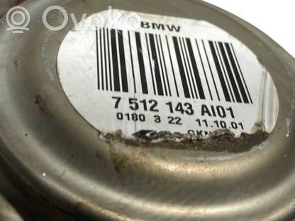 Aizmugurējā pusass