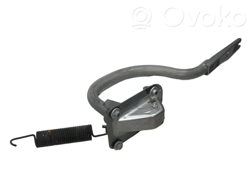 Aizmugurējā pārsega eņģe (-ess)