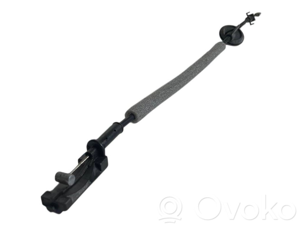 Trosīte