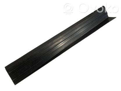 Rear door sill trim (external)