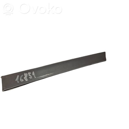 Priekšpusē durvju dekoratīvā apdare (moldings)