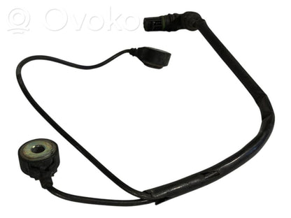 Knock sensor