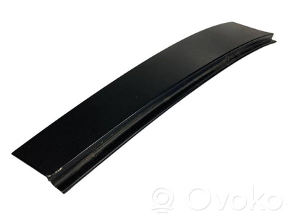 Rear door glass trim