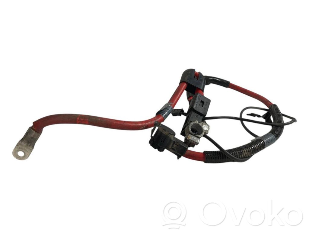 Plusa vads (akumulatora)