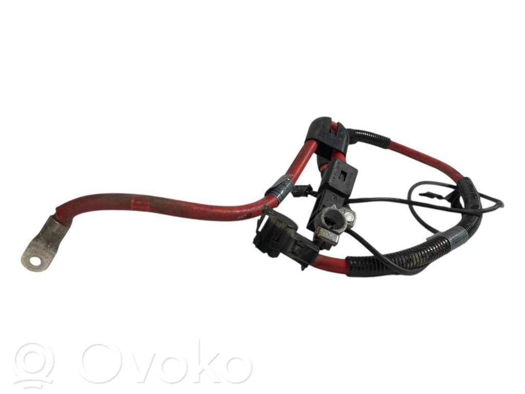 Plusa vads (akumulatora)