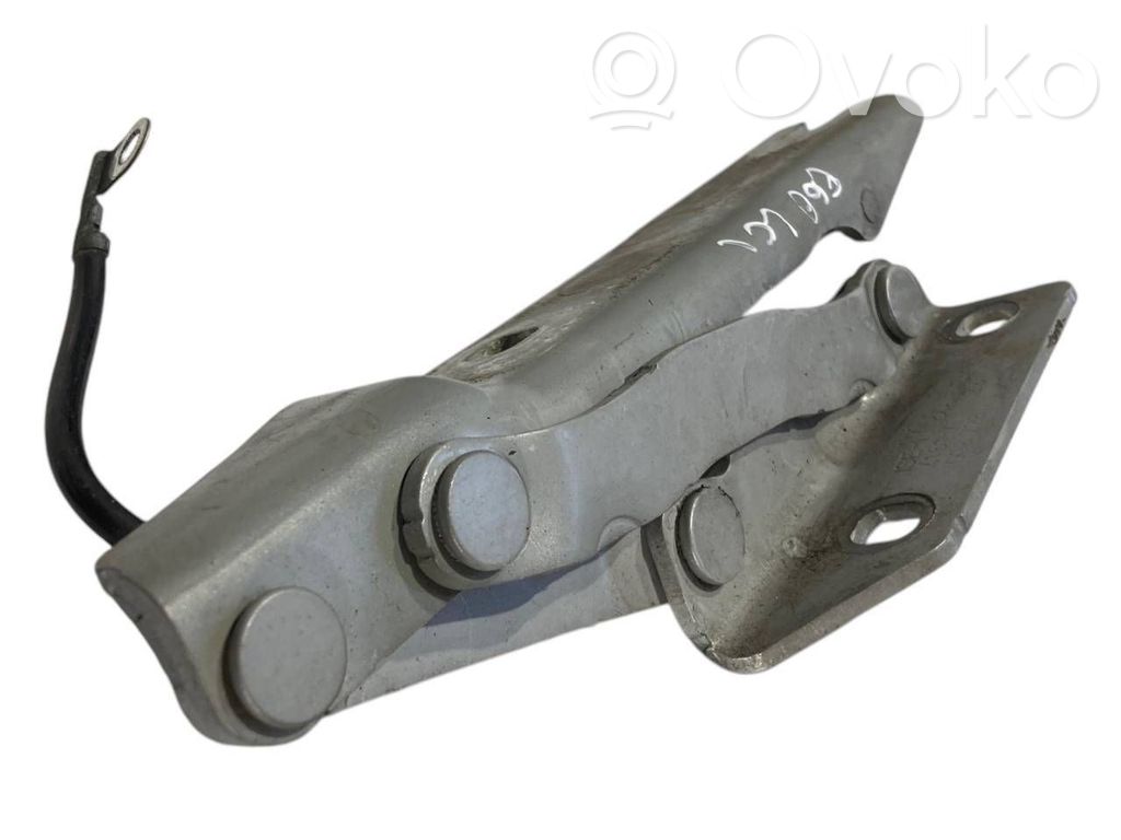 Петли капота двигателя