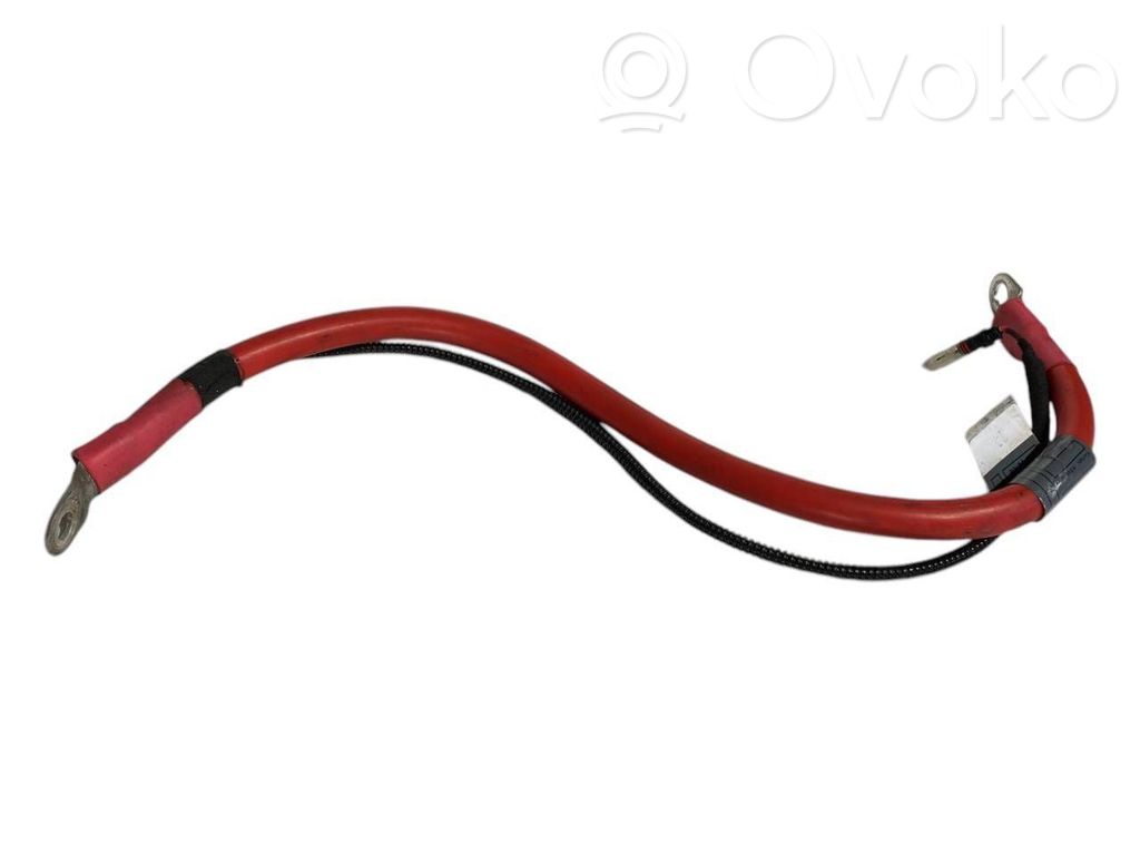 Plusa vads (akumulatora)