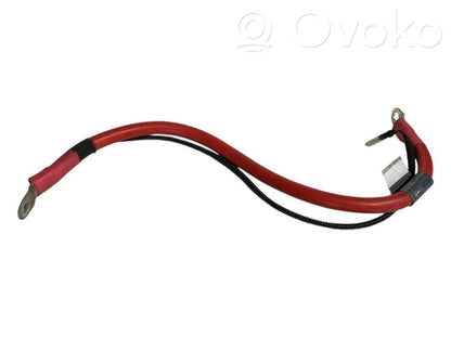 Plusa vads (akumulatora)