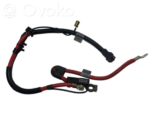 Plusa vads (akumulatora)