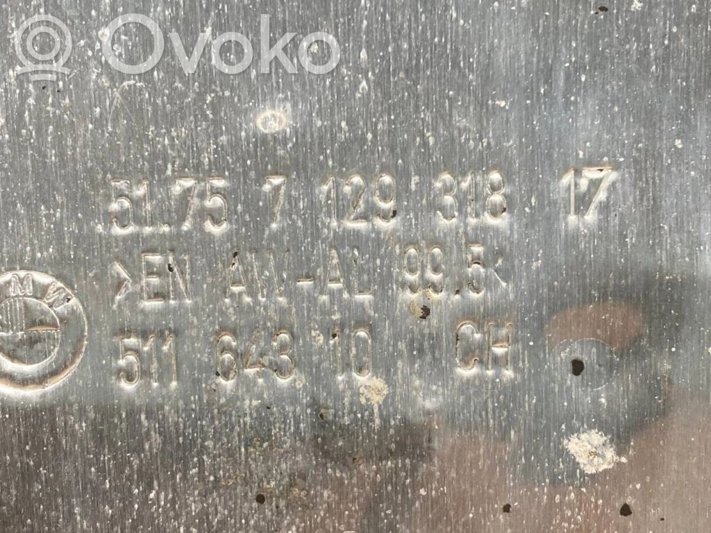 Dzinēja apakšas aizsargs