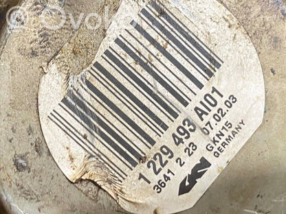 Aizmugurējā pusass