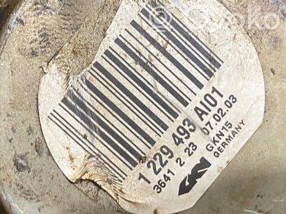 Aizmugurējā pusass