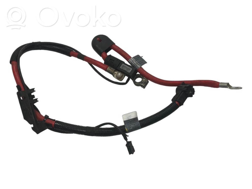 Plusa vads (akumulatora)