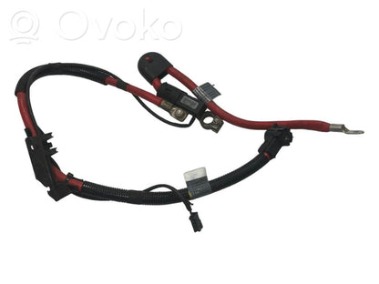 Plusa vads (akumulatora)