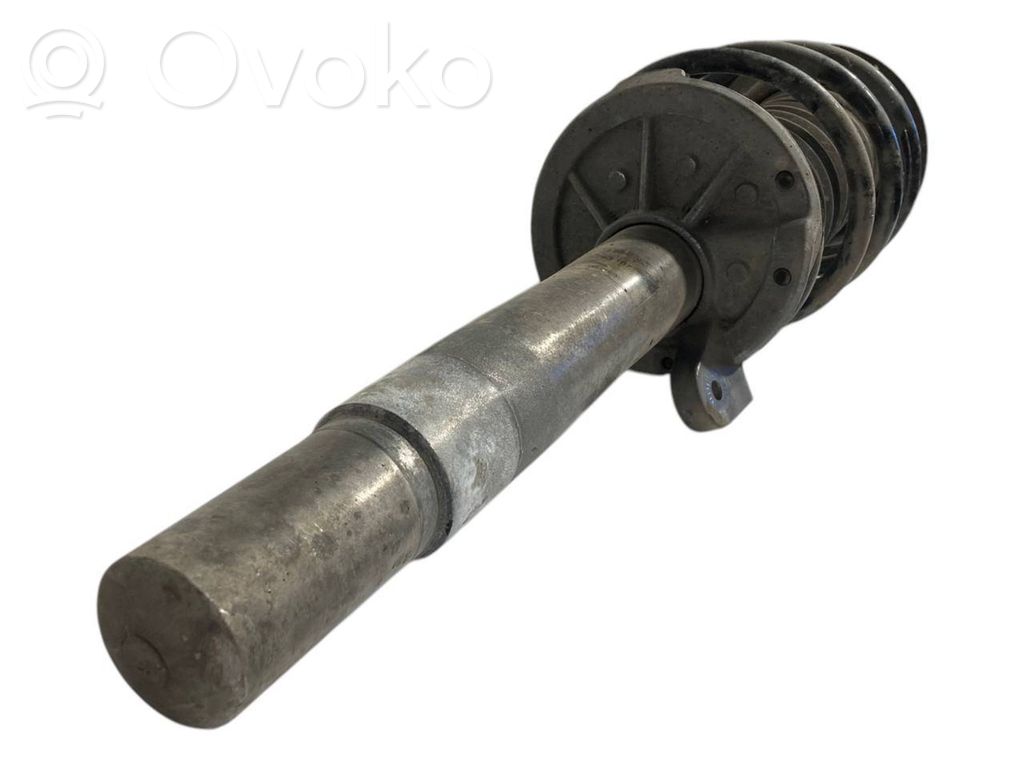 Front shock absorber with spring