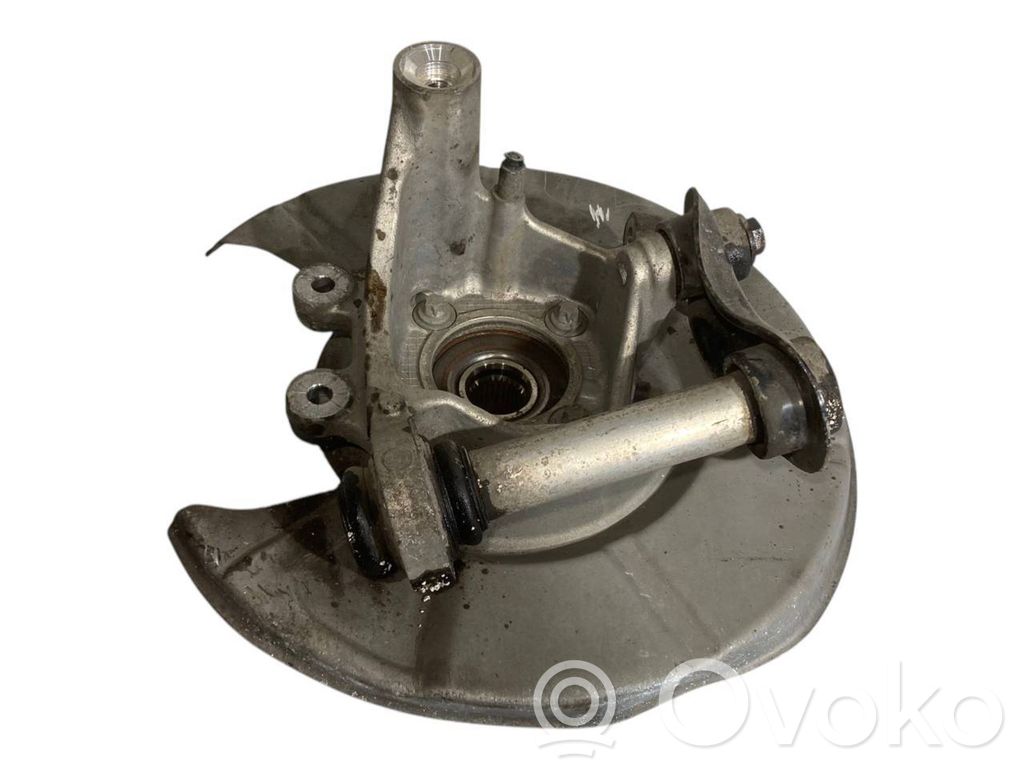 Rear wheel hub shaft joint (stupica, capfa)