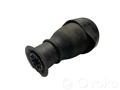 Rear airbag