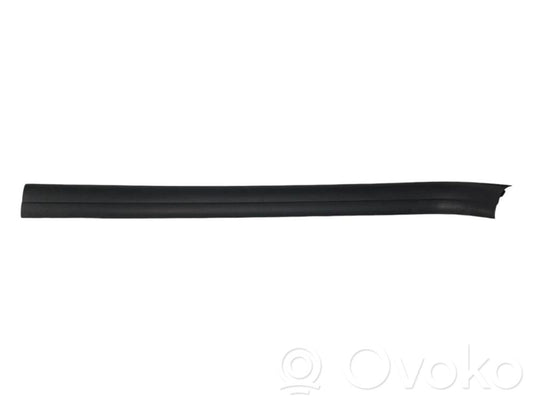 Front sill trim (inner)