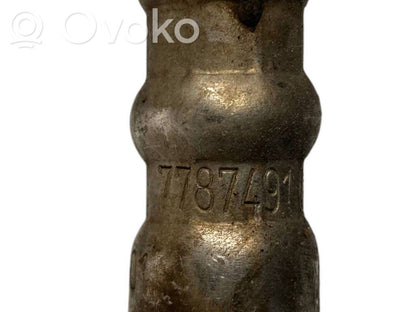 Caurule (-es) / šļūtene (-es)