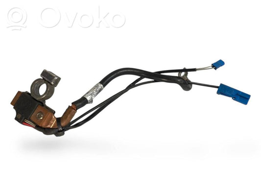 Mīnusa vads (akumulatora)