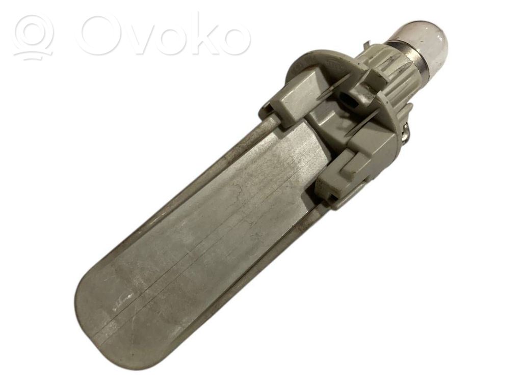 Aizmugurējā luktura detaļa