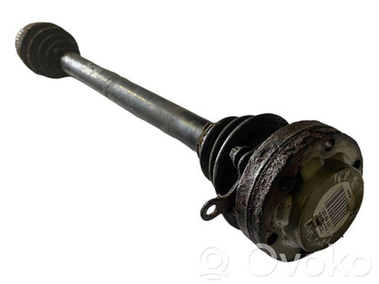 Aizmugurējā pusass