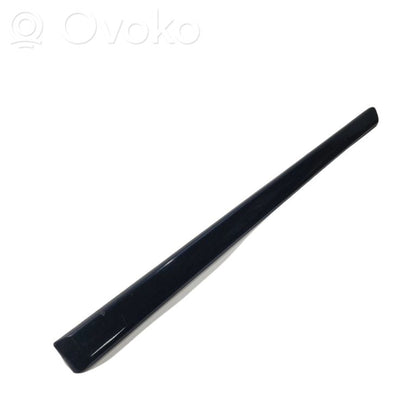 Aizmugurē durvju dekoratīvā apdare (moldings)