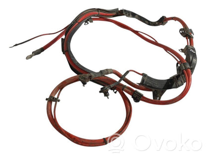 Plusa vads (akumulatora)