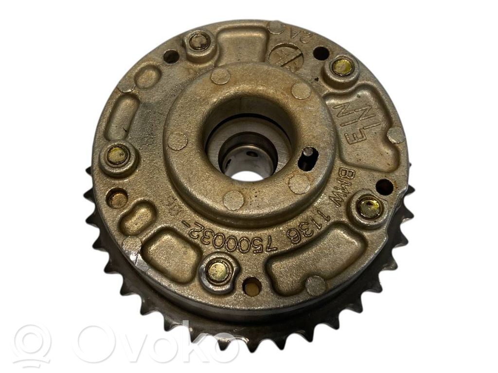 Sadales vārpstas skriemelis / "Vanos"