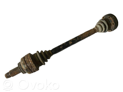 Aizmugurējā pusass