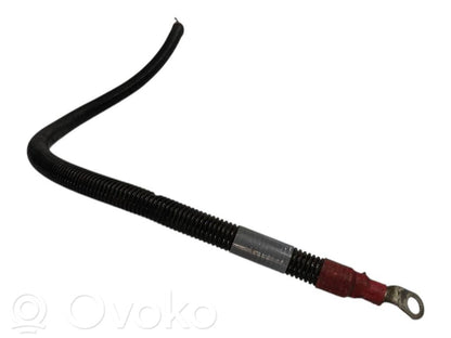 Plusa vads (akumulatora)
