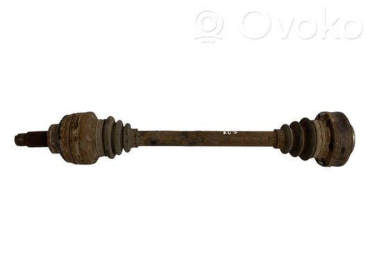 Aizmugurējā pusass