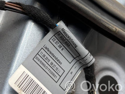 Aizmugurējās durvis