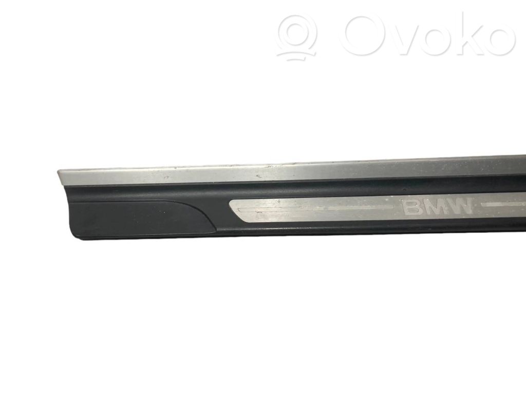 Front sill trim (inner)