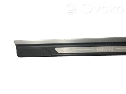 Front sill trim (inner)