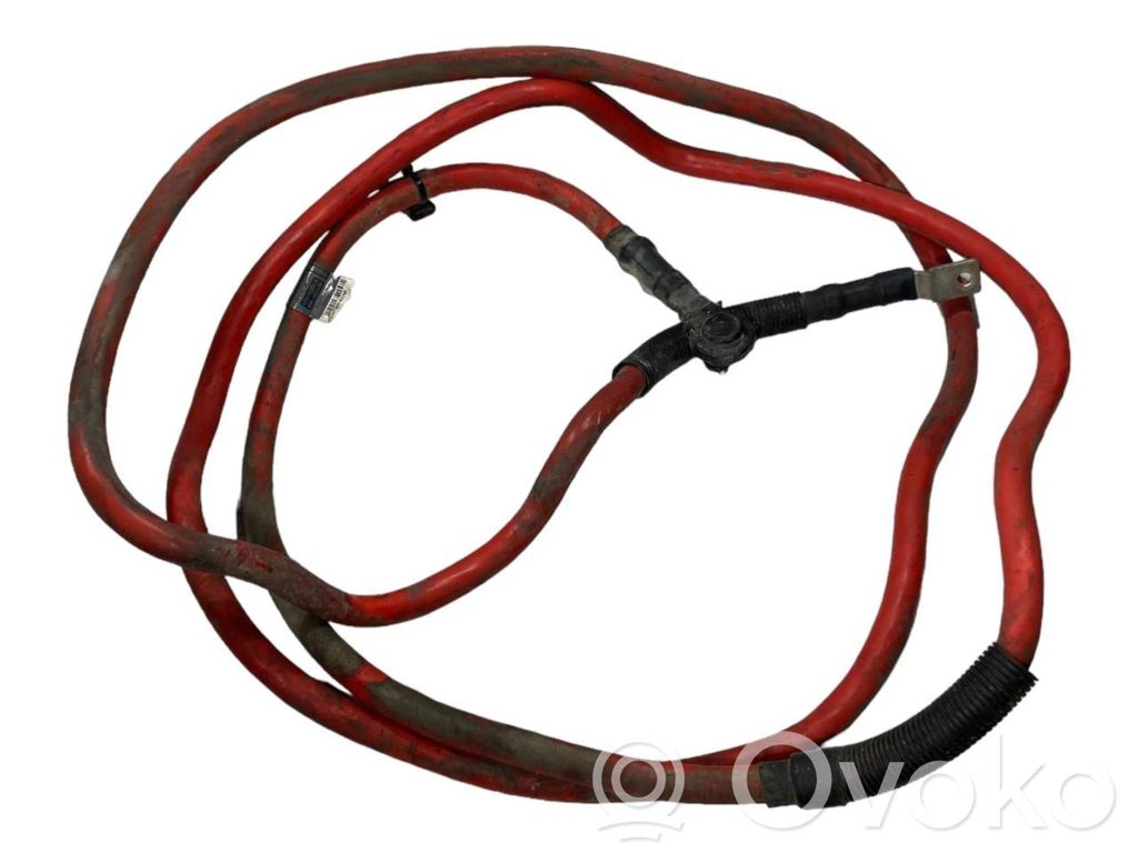 Plusa vads (akumulatora)