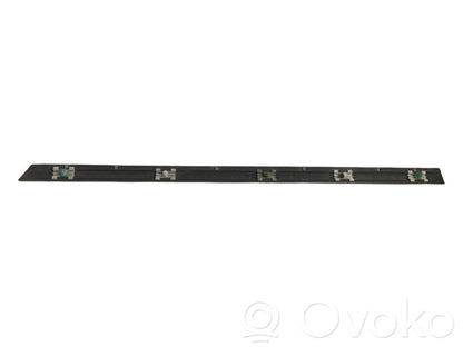 Aizmugurē durvju dekoratīvā apdare (moldings)