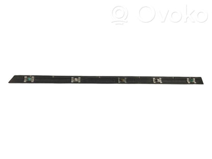 Aizmugurē durvju dekoratīvā apdare (moldings)
