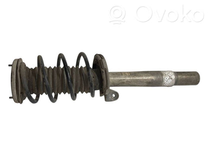 Front shock absorber with spring