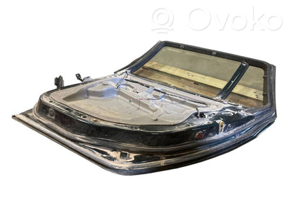 Aizmugurējās durvis