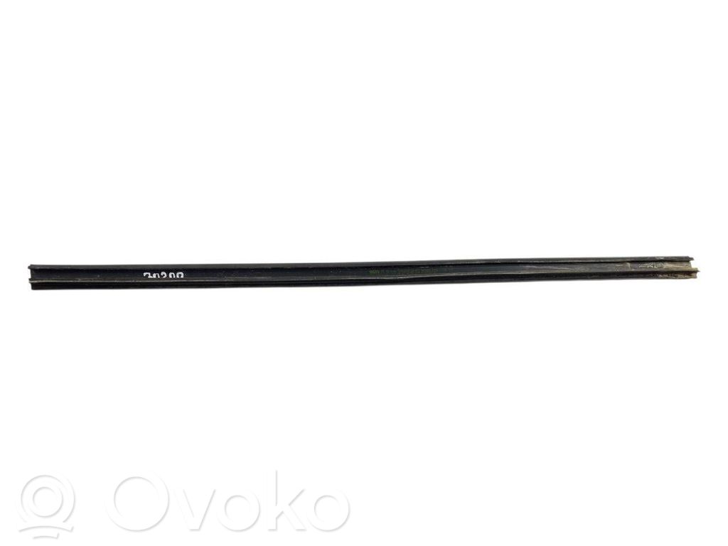 Aizmugurē durvju dekoratīvā apdare (moldings)